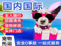 且末玉都机场货运国际宠物托运 【国